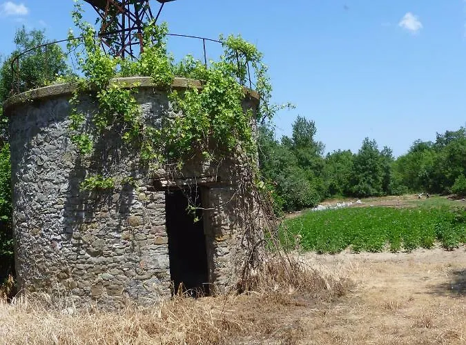Maison Vigneronne Hébergement de vacances *