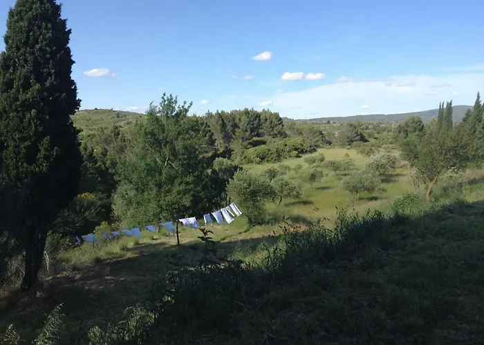 Maison Vigneronne Hébergement de vacances *